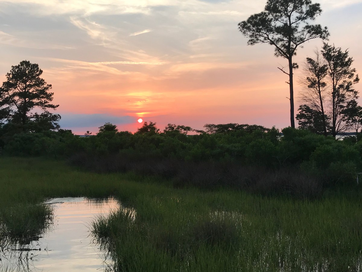 Where the Crawdads&nbsp;Sing