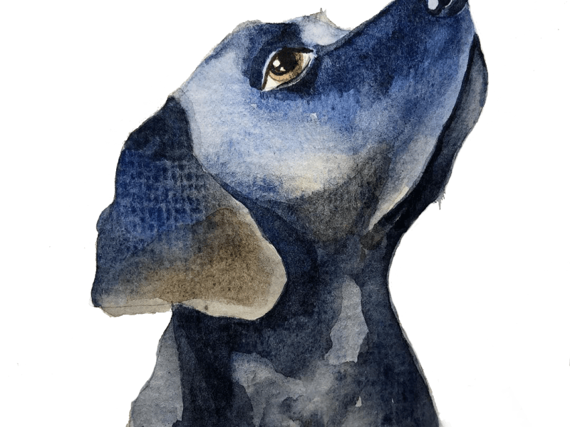 The Artist Who Took a Leap of&nbsp;Faith